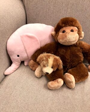 Betty White Instagram - Many people have asked if Betty really had a room full of stuffed animals.  The answer is she had several!  Here is a sampling of some of the friends who took up residence in our office over the years.
