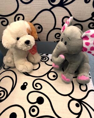 Betty White Instagram - Many people have asked if Betty really had a room full of stuffed animals.  The answer is she had several!  Here is a sampling of some of the friends who took up residence in our office over the years.