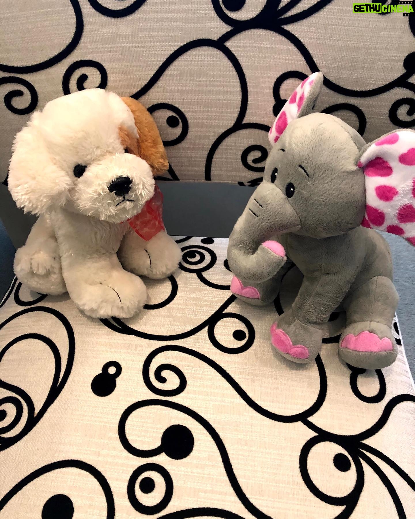 Betty White - 43.2K Likes - Many people have asked if Betty really had a room full of stuffed animals. The answer is she had several! Here is a sampling of some of the friends who took up residence in our office over the years.