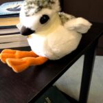 Betty White Instagram – Many people have asked if Betty really had a room full of stuffed animals.  The answer is she had several!  Here is a sampling of some of the friends who took up residence in our office over the years.