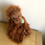 Betty White Instagram – Many people have asked if Betty really had a room full of stuffed animals.  The answer is she had several!  Here is a sampling of some of the friends who took up residence in our office over the years.