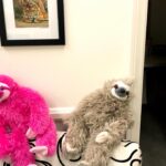 Betty White Instagram – Many people have asked if Betty really had a room full of stuffed animals.  The answer is she had several!  Here is a sampling of some of the friends who took up residence in our office over the years.