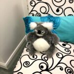Betty White Instagram – Many people have asked if Betty really had a room full of stuffed animals.  The answer is she had several!  Here is a sampling of some of the friends who took up residence in our office over the years.