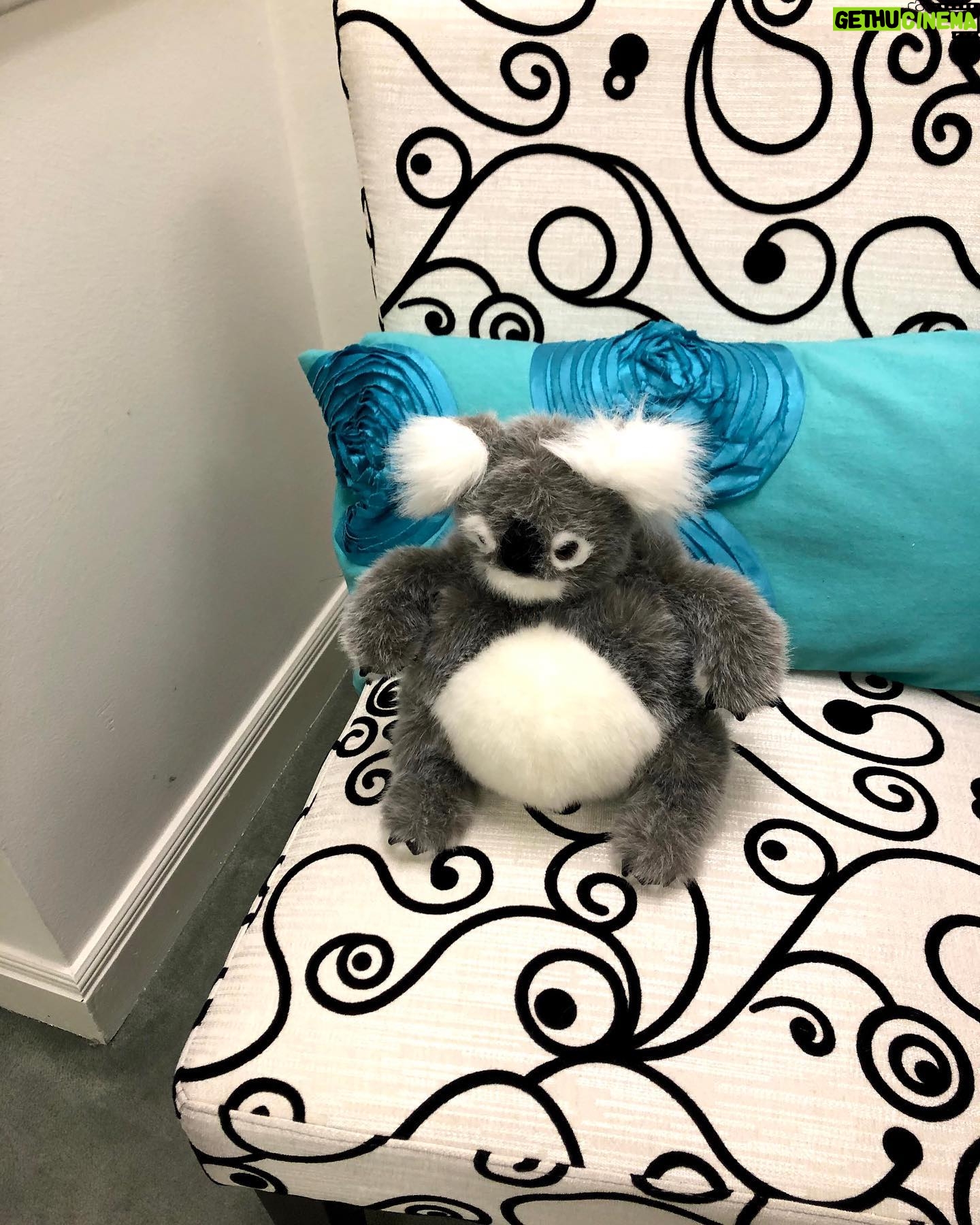 Betty White - 43.2K Likes - Many people have asked if Betty really had a room full of stuffed animals. The answer is she had several! Here is a sampling of some of the friends who took up residence in our office over the years.