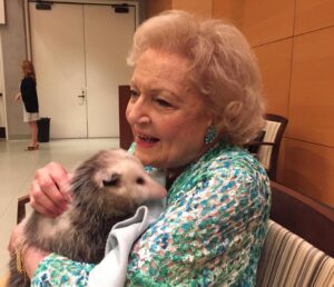 Betty White Instagram - Betty was never happier than when she had her hands on an animal.