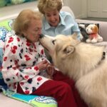 Betty White Instagram – Today’s fun photo memory.  I took this photo a few years ago when the wonderful Georgia Engel visited our office with her friend, Shyla, the hybrid wild dog. 😍😍