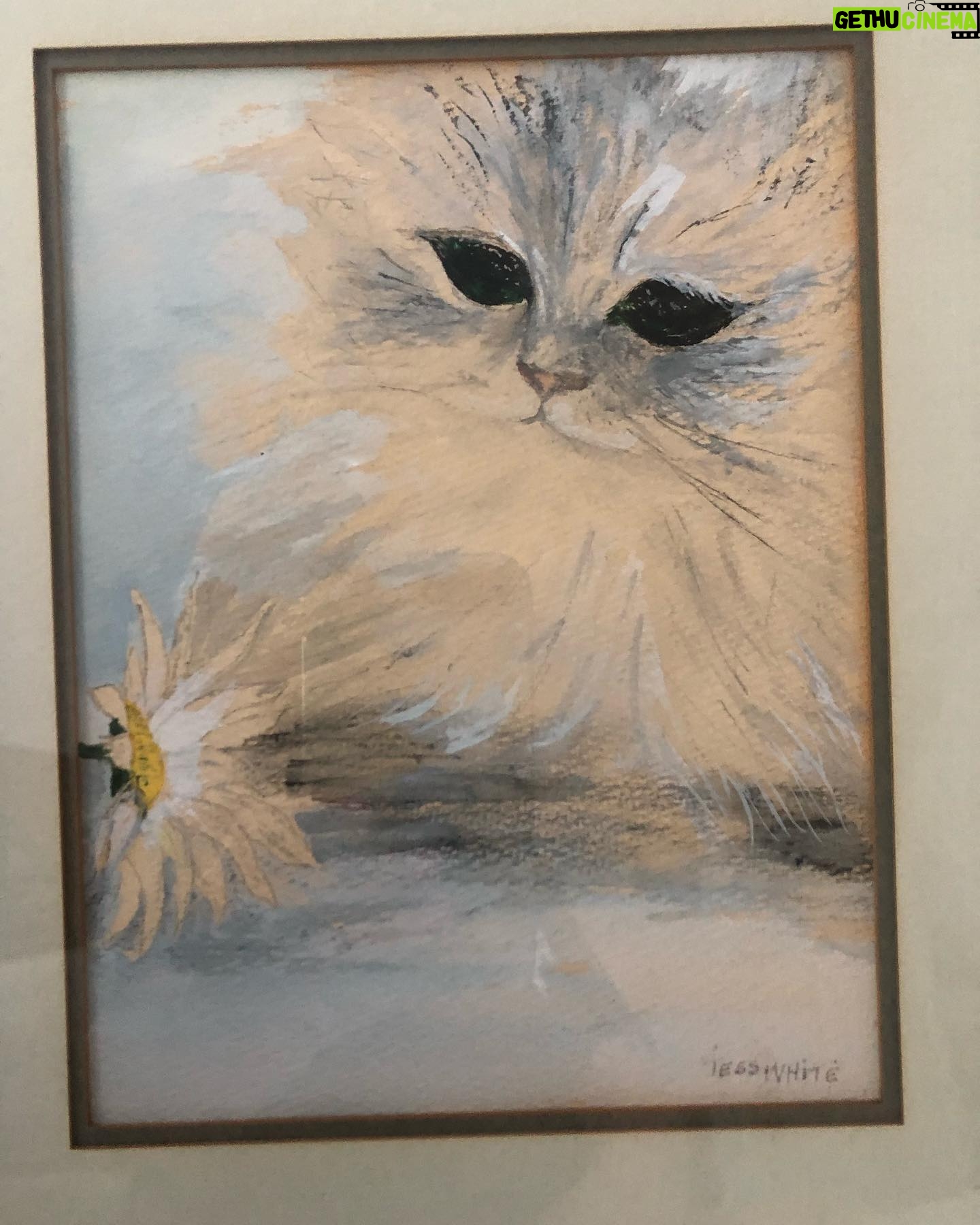 Betty White Instagram - Treasure Trove Thursday?? Did you know that Tess, Betty’s mother, was quite an artist in her own right? Here’s one of her lovely sketches.