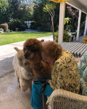 Betty White Instagram - In 2020, Jennifer Love Hewitt arranged for a COVID-safe visit from Whisper and Fable… two adorable alpacas.  It was a truly magical day. @littlehorseontheprairie