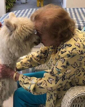Betty White Instagram - In 2020, Jennifer Love Hewitt arranged for a COVID-safe visit from Whisper and Fable… two adorable alpacas.  It was a truly magical day. @littlehorseontheprairie