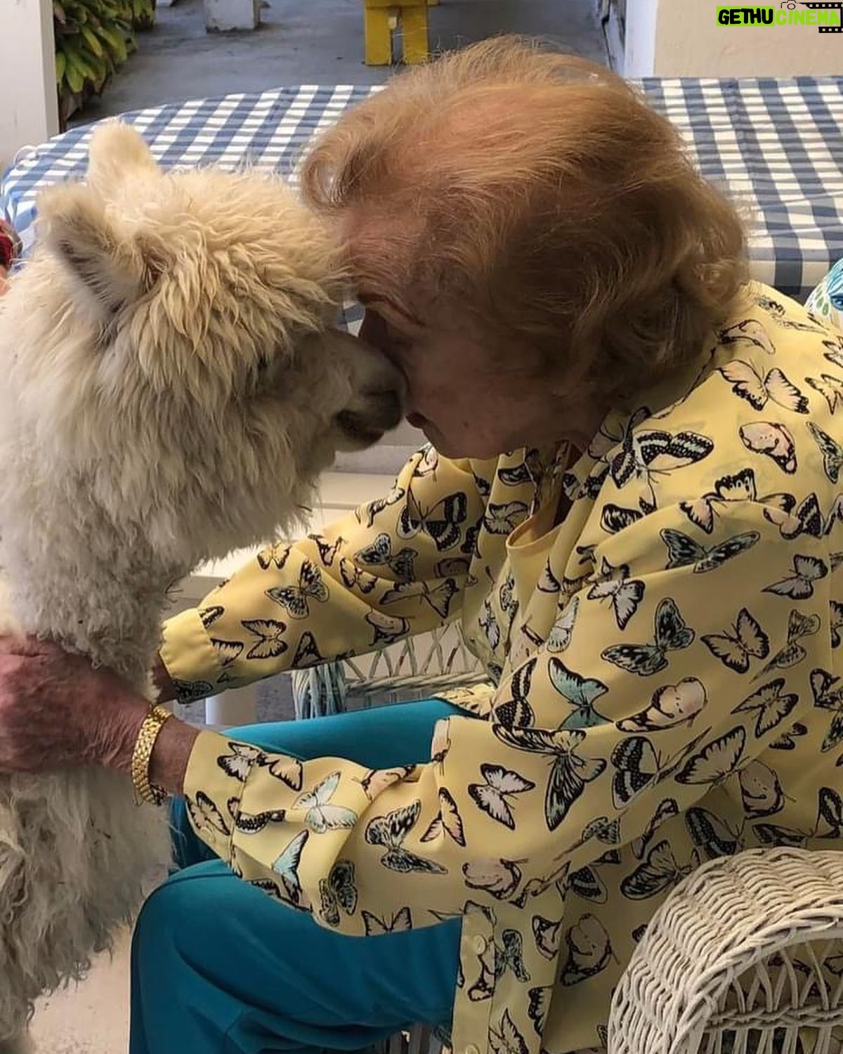 Betty White - 59.1K Likes - In 2020, Jennifer Love Hewitt arranged for a COVID-safe visit from Whisper and Fable… two adorable alpacas. It was a truly magical day. @littlehorseontheprairie