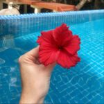 Beverly Bello Instagram – Bien arrivés dans ce coin de paradis aux Seychelles 🇸🇨. @hiltonseychelleslabriz 🏨