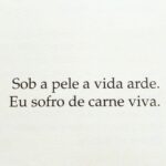 Bia Arantes Instagram –