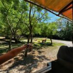 Bia Torres Instagram - a full day of... animals! 🐆🐒🐅🦓🦧🦒✨🌳