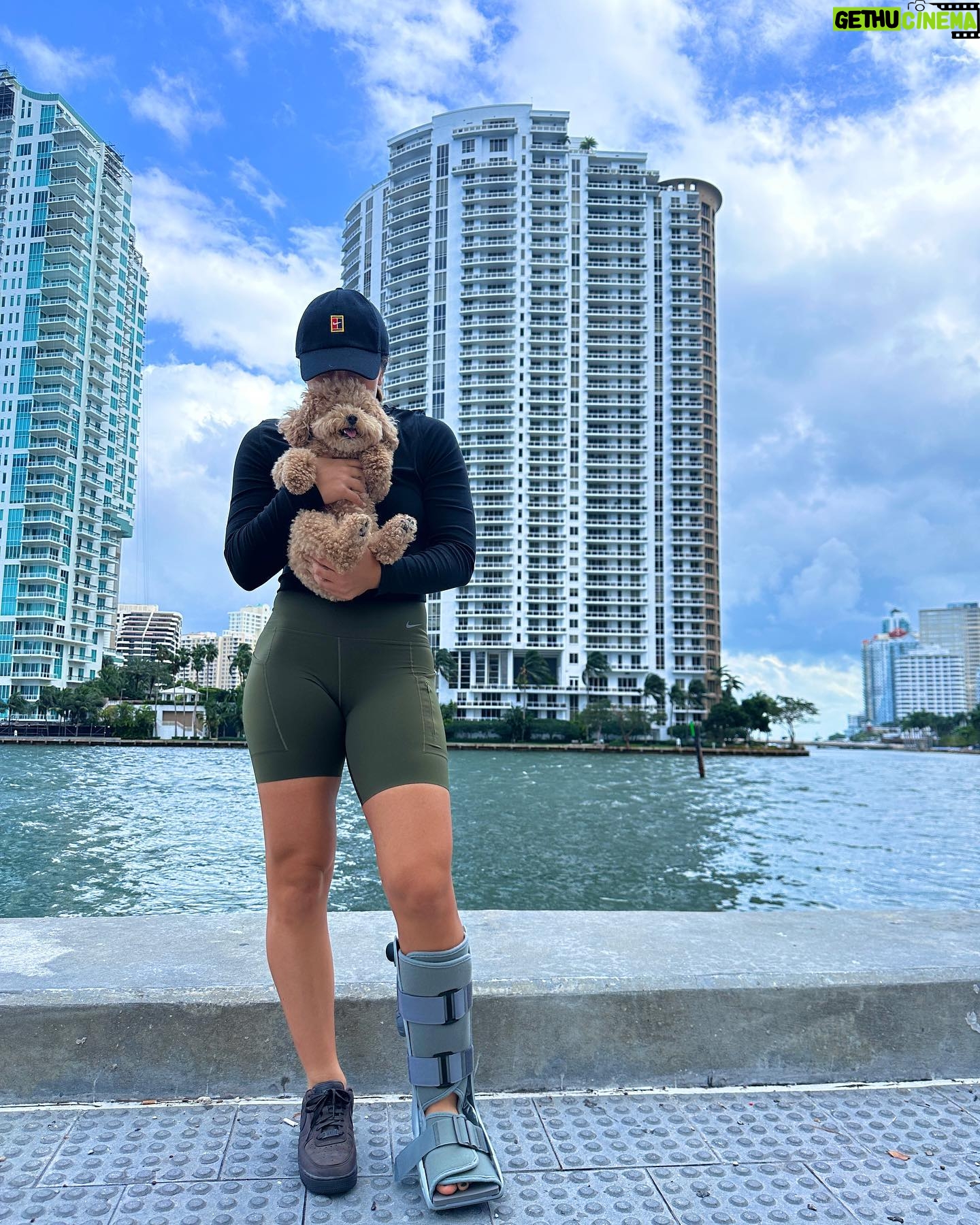 Bianca Andreescu Instagram - Thank you @jwmarriottmarquismiami for making me feel at home and comfortable during my time in Miami! Coco and I love it here 🫶🏼