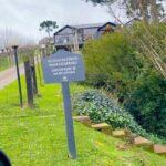 Bianca Castanho Instagram - Charme, conforto e aconchego nas cabanas da @cappiopousada. Uma experiência imperdível para quem vem aos Caminhos de Pedra na Serra Gaúcha!