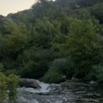 Bige Önal Instagram – An’ların postası, 2🌿