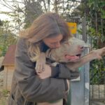 Bige Önal Instagram - İyi Pazarlar 😊🐶🎈 1. El yapımı vesikalık 2. Tamamen gözlükten 3. Vinci’nin sevgiden bunaldığı tek an 4. Resim seviyorum, hatırlatmak istedim 5. Pazar miskinliği