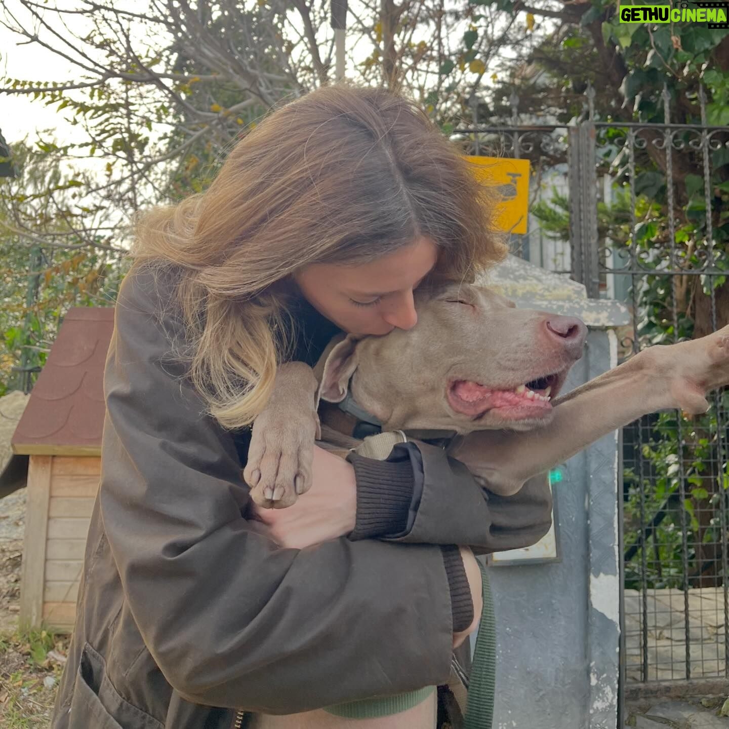 Bige Önal Instagram - İyi Pazarlar 😊🐶🎈 1. El yapımı vesikalık 2. Tamamen gözlükten 3. Vinci’nin sevgiden bunaldığı tek an 4. Resim seviyorum, hatırlatmak istedim 5. Pazar miskinliği