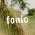 Bill Gates Instagram – Fonio is a “lost crop” from West Africa that is nutritious, delicious, and naturally drought tolerant. But processing it is time-consuming and labor-intensive, which makes it unprofitable for farmers to grow despite its many benefits. This fourth-generation Senegalese family is working to change that.