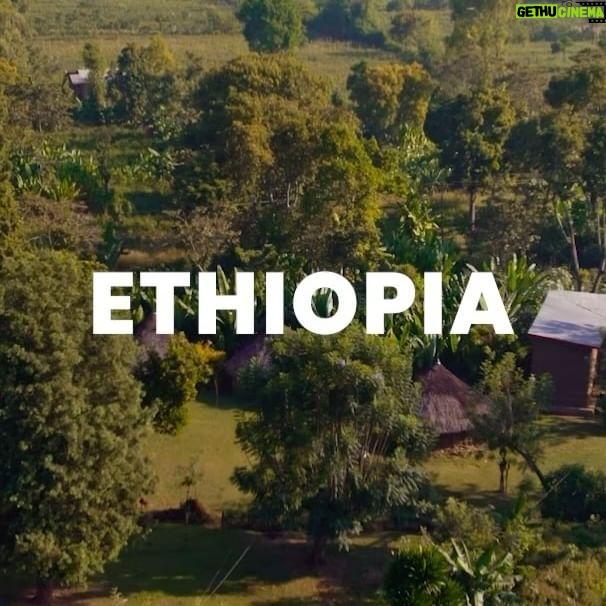 Bill Gates Instagram - For one family in Ethiopia, the drop in child mortality since 1990 isn’t just a statistic—it’s the difference between losing five siblings to preventable causes and finishing school to become a doctor.