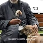 Binnur Kaya Instagram - Ne hükümran kalır ne zulüm ne de kin Öz değil dostlar öz değil bu biçim Kulların kullara ettiğini Etmiyor en zalim harın ateşi Bugün dua ettim hepimiz için Yüce Tanrı bizleri affetsin Bugün dua ettim hepimiz için Yüce Tanrı bizleri affetsin Ne para ne pul ne iktidar ne de güç Bu değil gerçek bu değil gerçek Bu kavga bir hayırsız düş Uyanır neslim uyanır elbet Bugün dua ettim hepimiz için Yüce Tanrı bizleri affetsin Bugün dua ettim hepimiz için Yüce Tanrı insanı affetsin