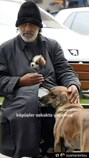 Binnur Kaya Instagram - Ne hükümran kalır ne zulüm ne de kin
Öz değil dostlar öz değil bu biçim
Kulların kullara ettiğini
Etmiyor en zalim harın ateşi
Bugün dua ettim hepimiz için
Yüce Tanrı bizleri affetsin
Bugün dua ettim hepimiz için
Yüce Tanrı bizleri affetsin
Ne para ne pul ne iktidar ne de güç
Bu değil gerçek bu değil gerçek
Bu kavga bir hayırsız düş
Uyanır neslim uyanır elbet
Bugün dua ettim hepimiz için
Yüce Tanrı bizleri affetsin
Bugün dua ettim hepimiz için
Yüce Tanrı insanı affetsin