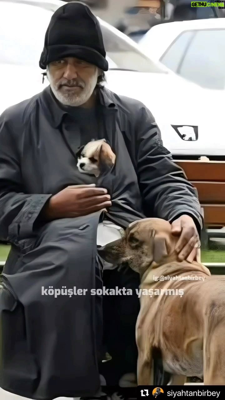 Binnur Kaya - 35.9K Likes - Ne hükümran kalır ne zulüm ne de kin
Öz değil dostlar öz değil bu biçim
Kulların kullara ettiğini
Etmiyor en zalim harın ateşi
Bugün dua ettim hepimiz için
Yüce Tanrı bizleri affetsin
Bugün dua ettim hepimiz için
Yüce Tanrı bizleri affetsin
Ne para ne pul ne iktidar ne de güç
Bu değil gerçek bu değil gerçek
Bu kavga bir hayırsız düş
Uyanır neslim uyanır elbet
Bugün dua ettim hepimiz için
Yüce Tanrı bizleri affetsin
Bugün dua ettim hepimiz için
Yüce Tanrı insanı affetsin
