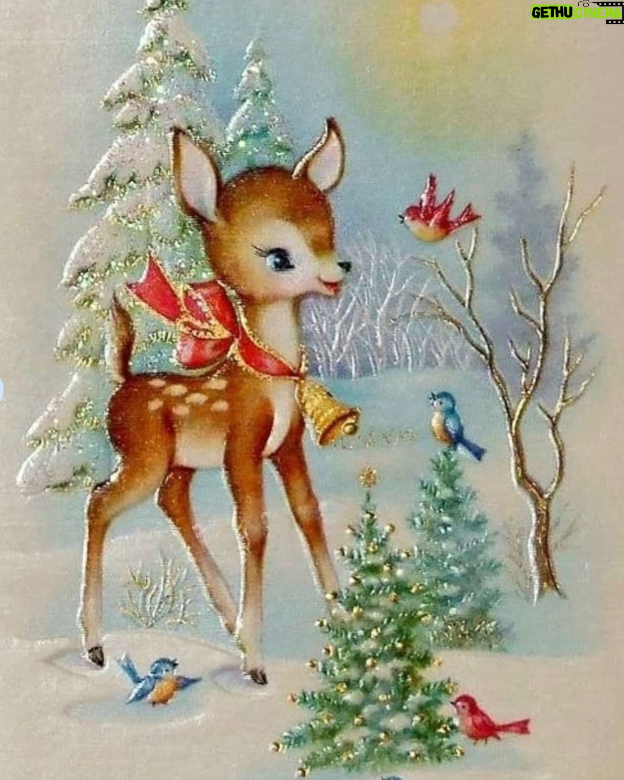Binnur Kaya Instagram - 2024'e sadece iyi insanlar girsin...🎄💫