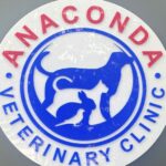 Binnur Kaya Instagram - Ömrünü mesleğine adamış harika bir hekim Erkan Morgül @veterkan76 Son teknoloji ve her türlü imkanla donatılmış @anacondaveteriner Canlarımızı muhteşem hekimliğine ve insanlığına emanet ettiğimiz meleğimiz,can dostumuz...Çok seviyoruz sizi...💙🧿🙏💙🧿🙏💙🧿🙏💙🧿🙏 @veterkan76 @anacondaveteriner @polatbilgin