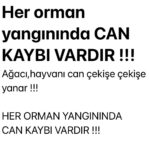Binnur Kaya Instagram - Başımız sağ olsun...