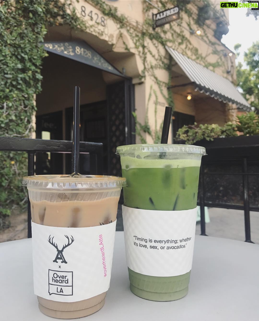 Blair Fowler Instagram - Why did I spend $10 on a drink that's not even gonna get me tipsy? 😲 P.S. Did y'all see my new video I just uploaded? It's my everyday fall makeup routine and the link is in my bio ✨☕️