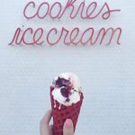 Blair Fowler Instagram - You can't buy happiness... but you can buy ice cream and that's pretty much the same thing. 💃🏻🍦❤️