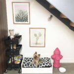 Blair Fowler Instagram - I'm not like a regular mom, I'm a dog mom 🐶 My living room for the boys is coming together! I had this empty space under my stairs that I didn't know what to do with so I decided to make the dogs a cute little area! I still want to get a runner rug and a couple more containers to put more treats in (and maybe a big food bucket?) but I'm loving it!! Any suggestions?