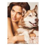 Blanca Soto Instagram - @thereal_scarlett #tbt 🐶 en #photoshoot 📸 so cute 😍!!!! 💕para #siempremujer La recuerdan? 😊#Besazos #throwbackthursday #love #happy #husky #dog #infinito #teamsoto #photoshoot #bts