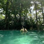 Bona Instagram – 천국인가🏝️🐬🌈☀️🦎🤍