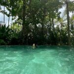 Bona Instagram – 천국인가🏝️🐬🌈☀️🦎🤍