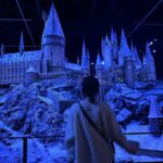 Bona Instagram – 🤍Happy Harry Christmas🪄🤍🎄♥️