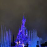 Bona Instagram – happiest place on earth🤍🏰❄️💟