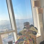 Brandee Evans Instagram - Momma’s like “Why didn’t I get to go to #EssenceFest!🙄” My caregiver just sent me these pics.🥹 Live footage of my momma patiently waiting on me to get back from @essencefest. Apparently she was living her best life watching live on @hulu I’ll be home soon momma. 🤗#CaregiverStrong Thanks for taking such good care of her Edith & Mary.
