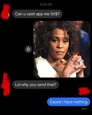 Brandee Evans Instagram - I’m about to use this on my nephews when I get a text again… 👀 lol 😂 
You’re not a Whitney fan if you don’t get this… hehe