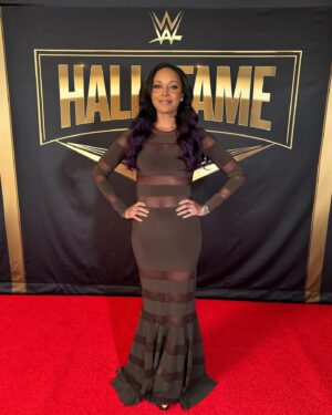 Brandi Runnels Instagram - We stay red carpet ready ✨ #wwehof