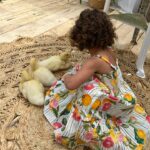 Brandi Runnels Instagram - Mommy Daughter and Ducks 🐤