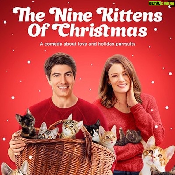 Brandon Routh - 62.7K Likes - #NineKittensOfChristmas is coming at ya in 2 days!
This Thursday @ 8/7c 🦃
🐈🎄🚒
@kimberleysustad
@hallmarkchannel
#Sequel #NineLivesOfChristmas