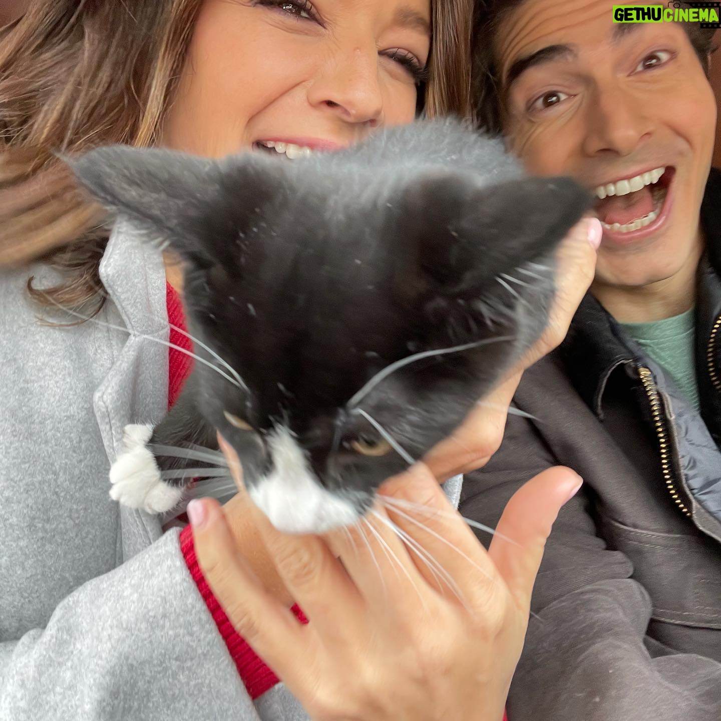 Brandon Routh - 62.7K Likes - #NineKittensOfChristmas is coming at ya in 2 days!
This Thursday @ 8/7c 🦃
🐈🎄🚒
@kimberleysustad
@hallmarkchannel
#Sequel #NineLivesOfChristmas