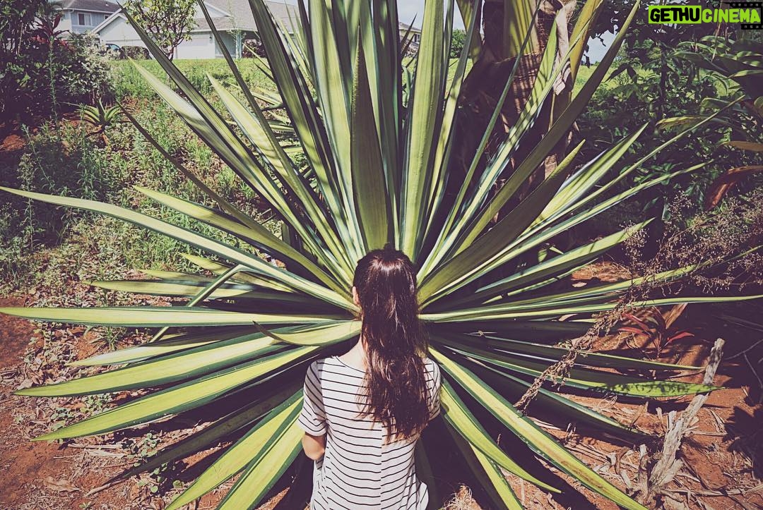 Brenda Asnicar Instagram - @basnicargreen