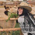 Brenda Zambrano Instagram -