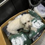 Brett Gray Instagram - First merch drop this weekend… I’m lowkey shook, all my fashion homies tap in and lemme know if you have any last minute advice before drop day. THIS SUNDAY 1.21.24 @ 3PM EST / NOON PST on brettgraymerch.com SEE YOU THERE! @brettgraymerch #brettgraymerch #starbornhoodie