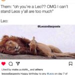 Brett Gray Instagram - 🦁🦁♌️