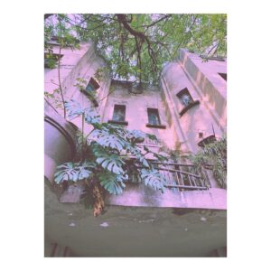 Bridgit Mendler Instagram - 💜 Beautiful Mexico City 💜