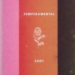 Bridgit Mendler Instagram - #TemperamentalLove is out! @devontee_woe and I loved creating this emotional jam. First song I ever produced on! 😬🤓🤙🎉 Listen at the link in my bio